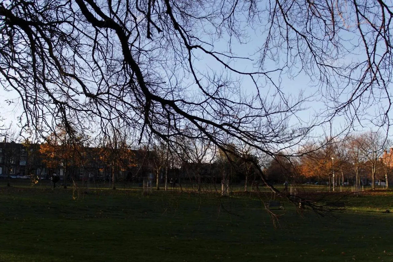 Traditional Apartment Oer The Meadows Edinburgh